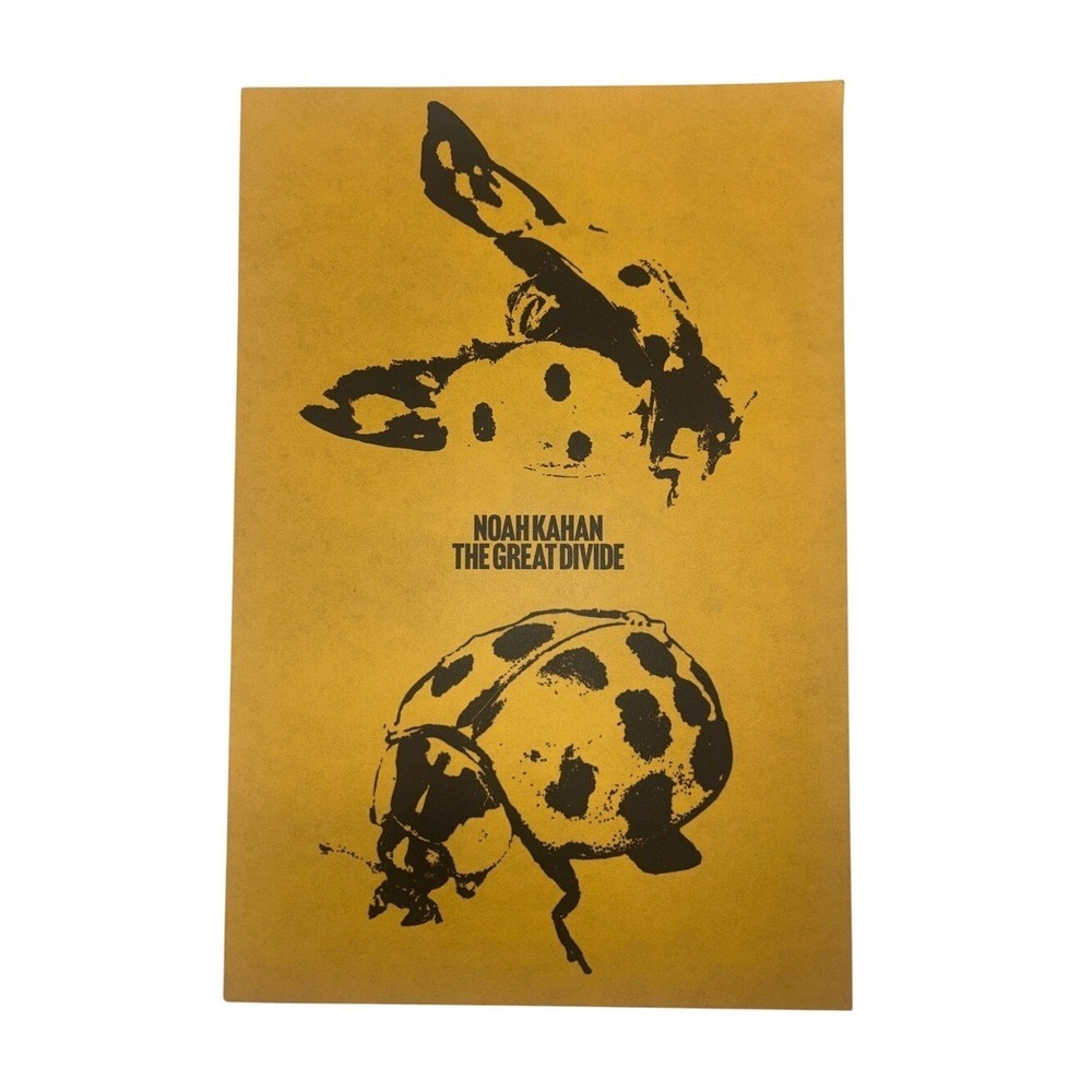 Noah Kahan The Great Divide Poster Yellow Ladybug Music Memorabilia 12x18 NEW